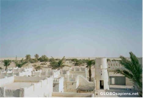 Postcard Arabic Settlement