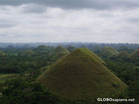 Postcard Tears of a mourning giant: Chocolate Hills