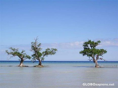 Postcard Tranquil Mindanao Sea