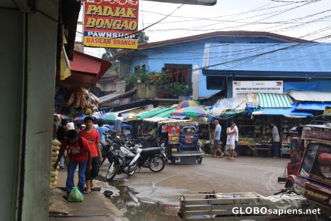 Postcard Isabela Main Road