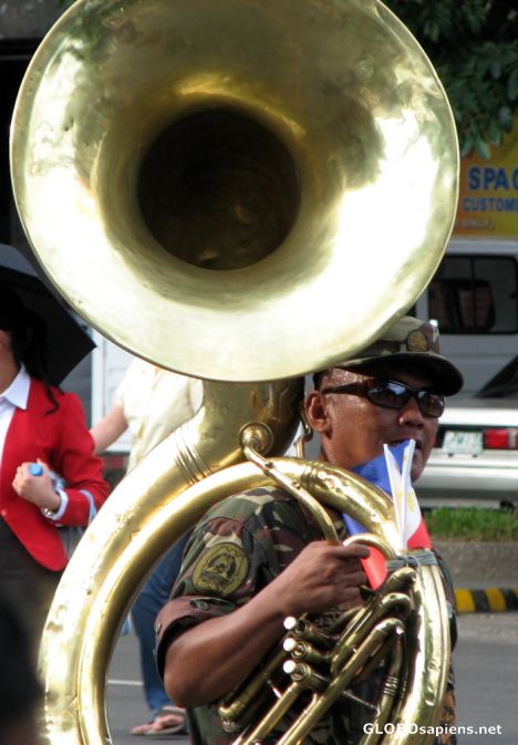 Bold as brass in Cebu