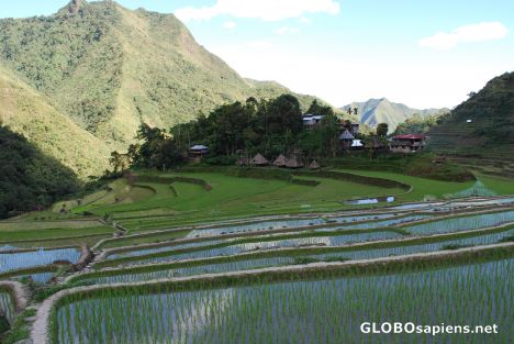 Postcard Rice terraces in Batad