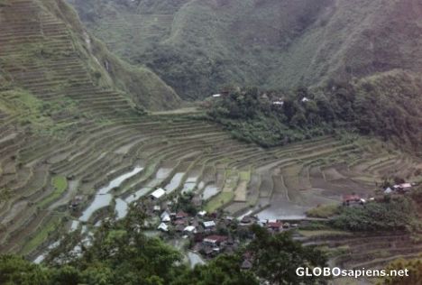 Postcard Batad Rice Terraces