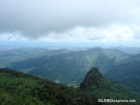 Postcard Mountain tops of El Yunque rainforest