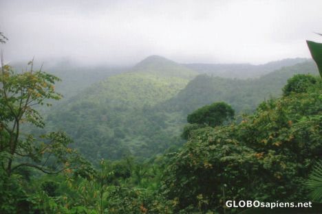 Postcard El Yunque National Rainforest