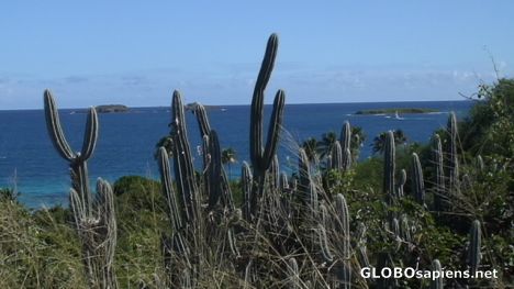 Postcard Culebra landscape