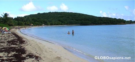 Postcard Chiva beach on Vieques Island