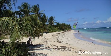 Postcard Quite beach on Culebra