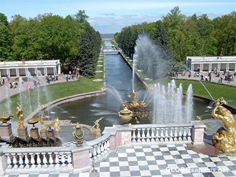 Postcard The  Petergof Fountains