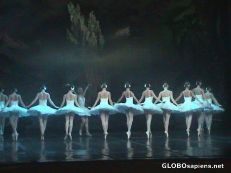 Postcard Ballet: Swan Lake