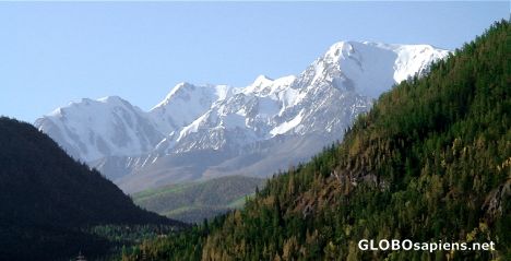 Postcard Snowy Altai
