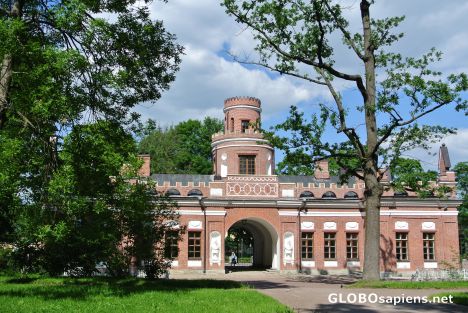 Postcard Tsarskoye Selo - A walk in the Catherine Park