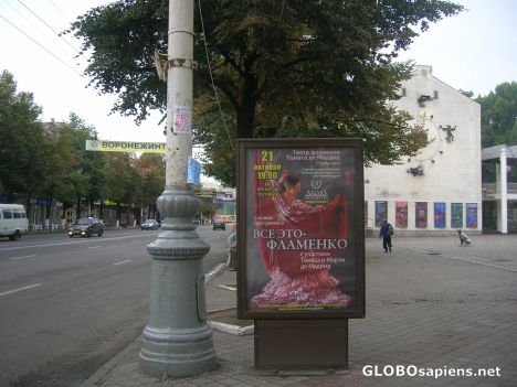 Postcard Flamenco in Voronezh