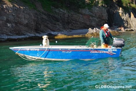 Local fisherman and his dog