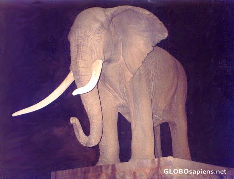 Postcard Elephant Sculpture