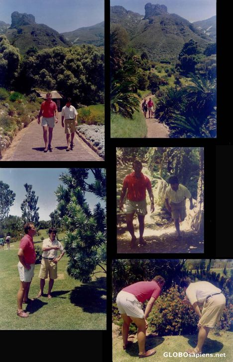 Postcard Kirstenbosch Gardens Collage
