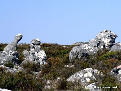 Postcard Strangely shaped rocks