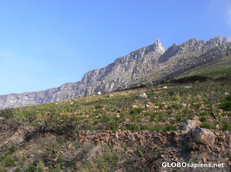 Postcard Table Mountain up close