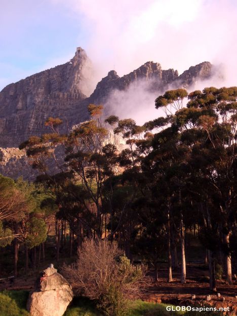 Postcard Table Mountain in the evening