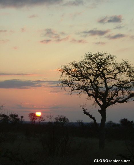 Postcard Sunset in Kruger National Park
