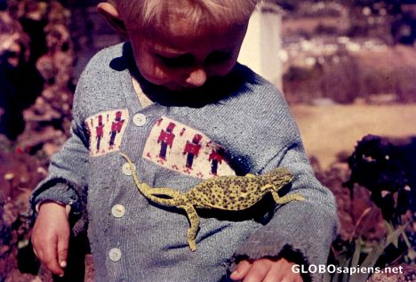 Postcard Chameleon Kid
