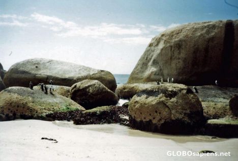Postcard Boulders on a Beach...Heaven!!