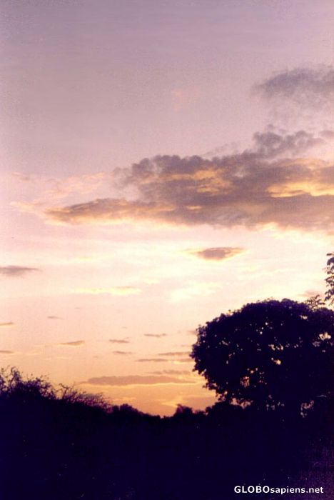 Postcard Kruger Sunset 1