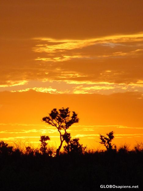 Postcard Kruger Park sunset