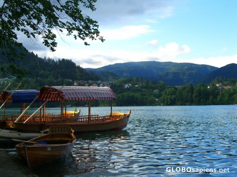Postcard Bled - Jezero