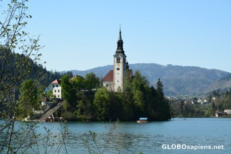 Postcard Lake Bled on a spring day