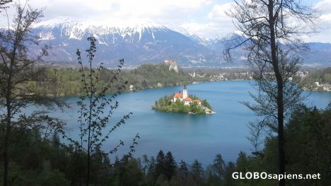 Postcard Lake Bled from Mala Osojnica peak