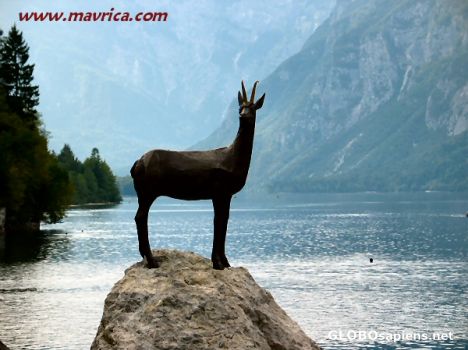 Postcard Lake Bohinj, Slovenia, Europe