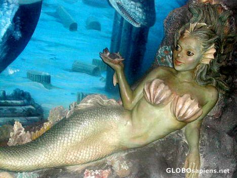 Postcard Statue of mermaid