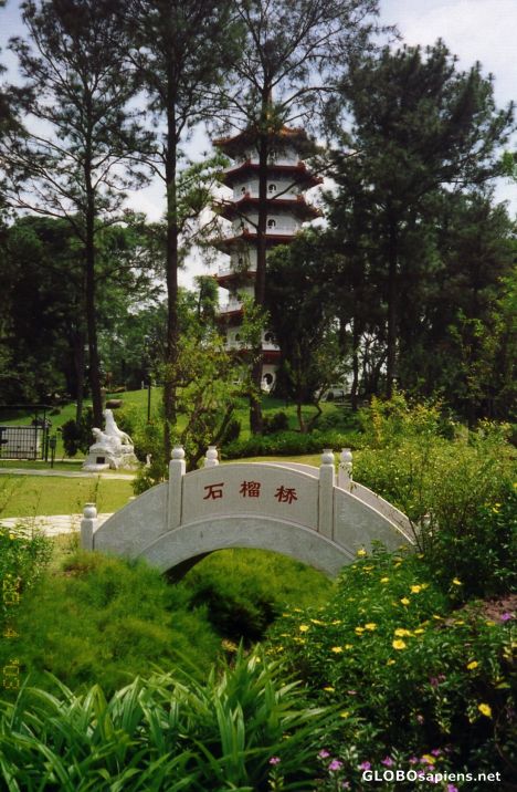 Postcard Chinese Gardens