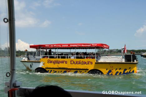 Postcard Ducktours to get around in Singapore