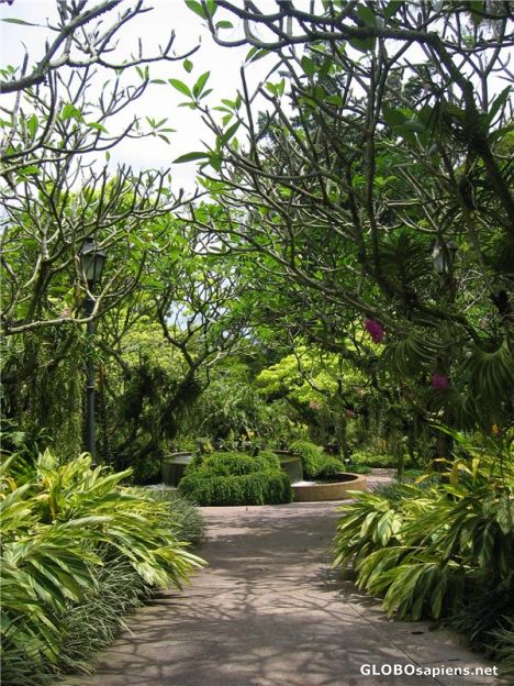 Postcard Orchid World Park (3)