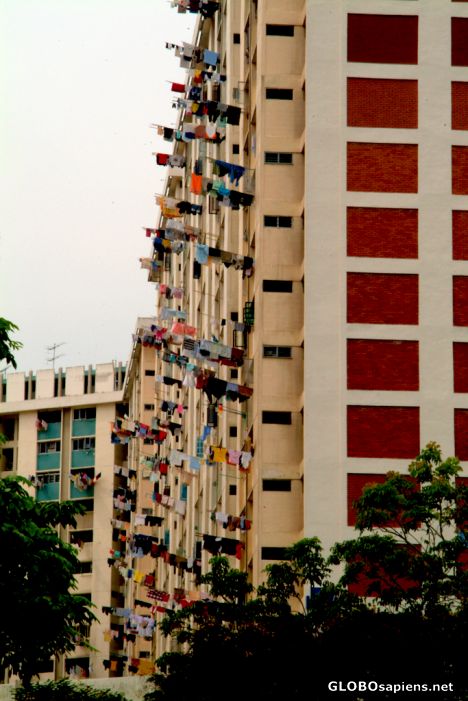 Singapore - A washing line