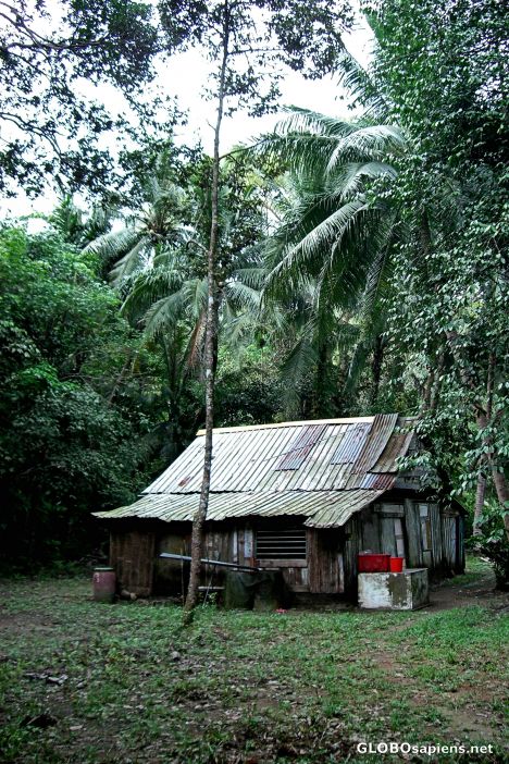 Postcard Old Kampong House, Pulau Ubin
