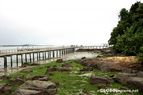 Postcard Coastal Loop Boardwalk, Chek Jawa Wetlands