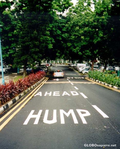 Postcard Humorous road sign in Ulu Pandan...