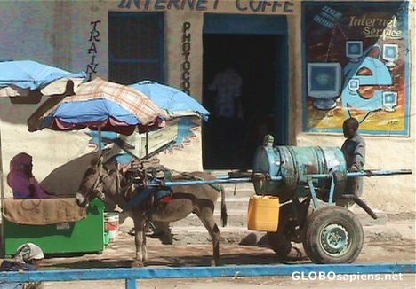 Postcard Donkey cart & internet cafe