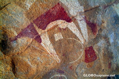 Postcard Las Geel - cow of the prehistoric art