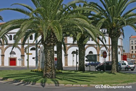 Postcard Cáceres, Extremadura: La Plaza de toros