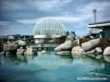 Postcard City of Arts and Sciences -Ocanográfic-Wetlands