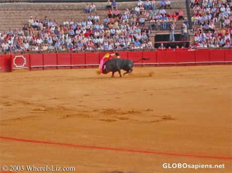 Postcard Bullfight, Seville, Spain