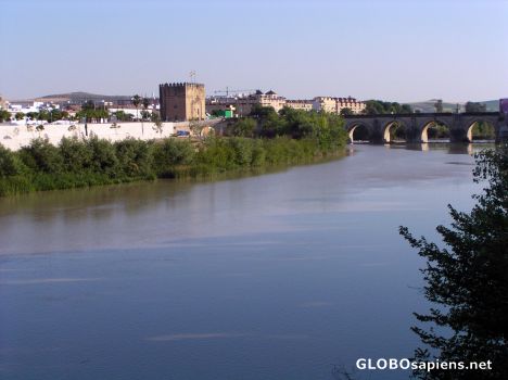 Postcard Guadalquivir River - Cordoba