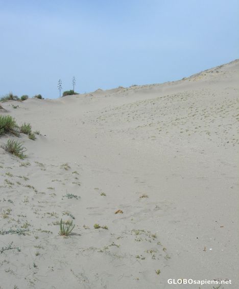 Postcard Mónsul dunes