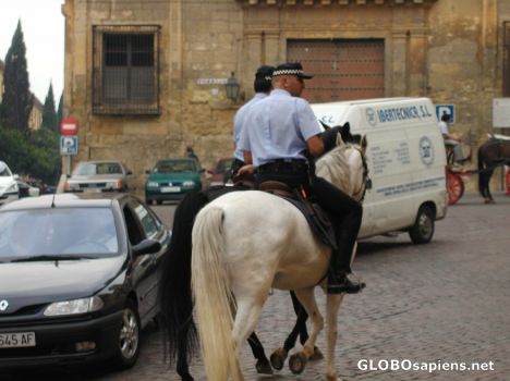 Postcard The Mounted Police of Andalucia