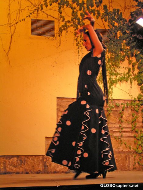 Postcard Flamenco