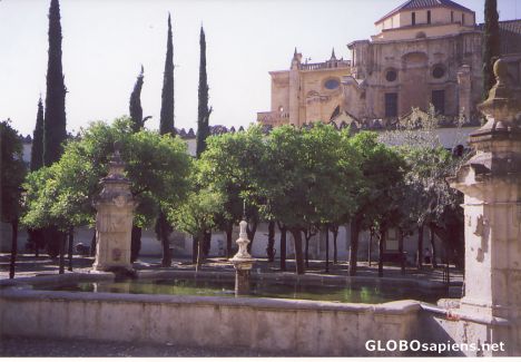 Postcard View of the Mezquita